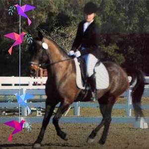 Meet your Posher, Michele